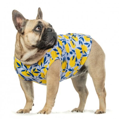 Hűtőpóló kutyáknak - Citromos , 2XL , Masha & Co