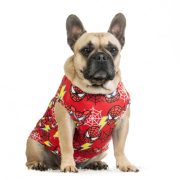 Hűtőpóló kutyáknak - PókBuci , XL , Masha & Co