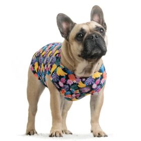   Hűtőpóló kutyáknak - Trópusi gyümik , 2XL , Masha & Co