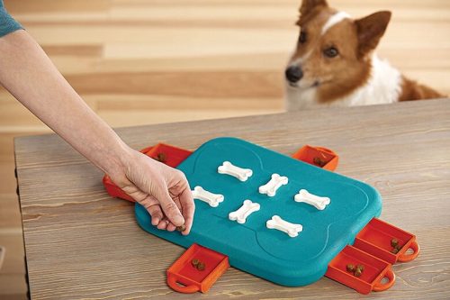 Dog Casino logikai játék , 3-as szint , Nina Ottosson