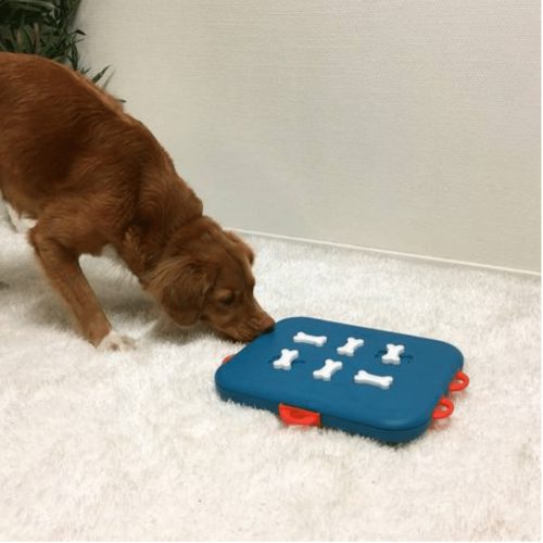 Dog Casino logikai játék , 3-as szint , Nina Ottosson