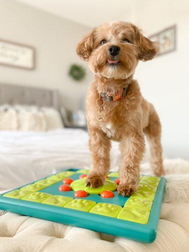 MultiPuzzle logikai játék ,  4-es szint , Nina Ottosson