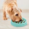 Evéslassító tál Fun Feeder menta S , Outward Hound