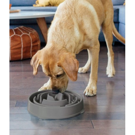 Evéslassító tál Fun Feeder Szürke M , Outward Hound