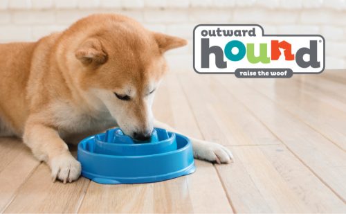 Evéslassító tál Fun Feeder Türkiz L , Outward Hound