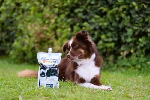 Exceed Bone & Joint - folyékony izületvédő sport és munkakutyáknak 750ml , PalaMOUNTAINS