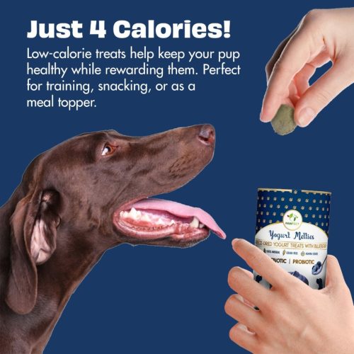 Funkcionális fagyasztva szárított jutalomfalat joghurt áfonyával , Pre-és probiotikum , Pawfect 