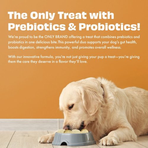 Funkcionális fagyasztva szárított jutalomfalat joghurt répával , Pre-és probiotikum , Pawfect 