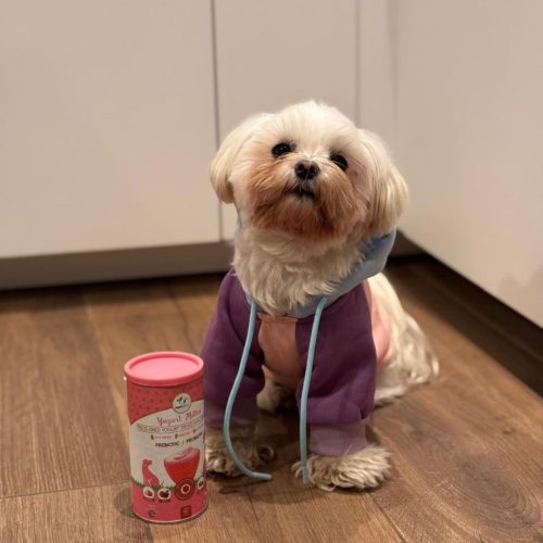 Funkcionális fagyasztva szárított jutalomfalat joghurt eperrel , Pre-és probiotikum , Pawfect 