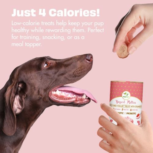 Funkcionális fagyasztva szárított jutalomfalat joghurt eperrel , Pre-és probiotikum , Pawfect 