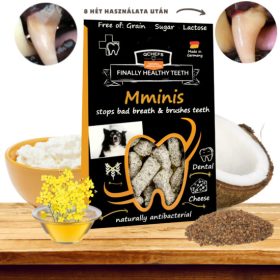 Mminis - természetes fogtisztító jutalomfalat , Qchefs