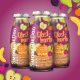 SmoothieDog Gyümölcsös smoothie kutyáknak , 250ml , Smoothiedog