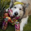SmoothieDog Gyümölcsös smoothie kutyáknak , 250ml , Smoothiedog