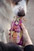 SmoothieDog Gyümölcsös smoothie kutyáknak , 250ml , Smoothiedog