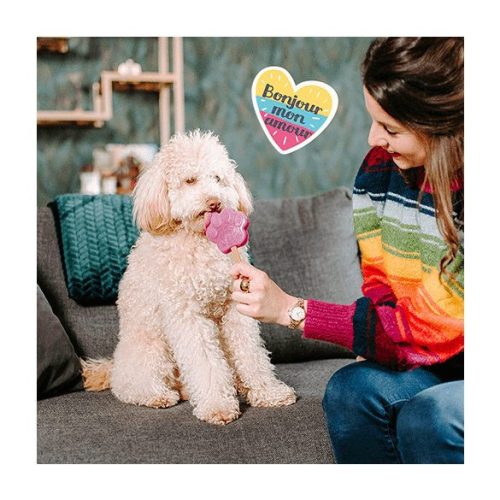 Kutyafagyi ÁFONYÁS , Smoofl