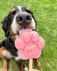 Kutyafagyi ÁFONYÁS , Smoofl