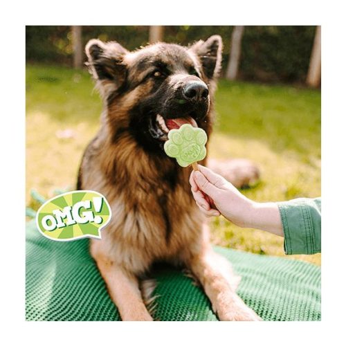 Kutyafagyi ALMÁS , Smoofl