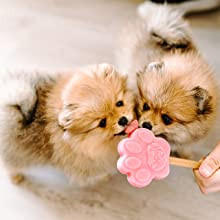 Kutyafagyi ALMÁS , Smoofl