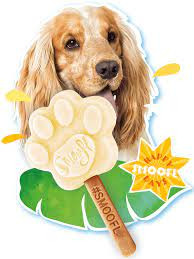 Kutyafagyi készítő csomag MINI formával , Smoofl