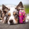 Nyúlhús Smoothie 250ml , SmoothieDog