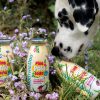Nyúlhús Smoothie - Limitált nyári kiadás , 250ml , SmoothieDog