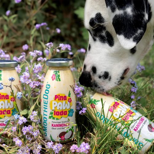 Nyúlhús Smoothie - Limitált nyári kiadás , 250ml , SmoothieDog