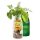 SmoothieDog - Bárányos smoothie kutyáknak , 250ml