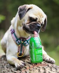 SmoothieDog - Bárányos smoothie kutyáknak , 250ml