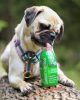 SmoothieDog - Bárányos , 250ml