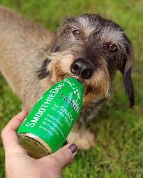 SmoothieDog - Bárányos smoothie kutyáknak , 250ml