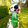 SmoothieDog - Bárányos smoothie kutyáknak , 250ml