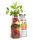 SmoothieDog - Immunerősítő smoothie Marhahússal , 250ml