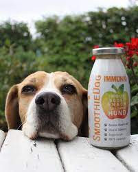 SmoothieDog - Immunerősítő smoothie Marhahússal , 250ml