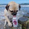 SmoothieDog - Lóhúsos , 250ml