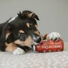 SmoothieDog - Marhahúsos , 250ml