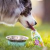 SmoothieDog - Zöldséges smoothie kutyáknak , 250ml