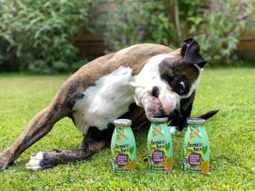 SmoothieDog - Zöldséges smoothie kutyáknak , 250ml