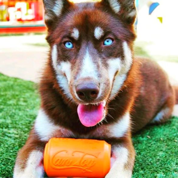 CAN TOY , XL - Jutalomfalattal tölthető, méreganyagmentes játék kutyáknak , SodaPup®