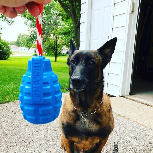 GRÁNÁT , L - Jutalomfalattal tölthető, méreganyagmentes játék kutyáknak , SodaPup®