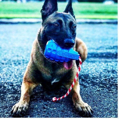 GRÁNÁT , L - Jutalomfalattal tölthető, méreganyagmentes játék kutyáknak , SodaPup®