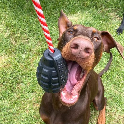 GRÁNÁT , M - Jutalomfalattal tölthető, méreganyagmentes játék kutyáknak , SodaPup®