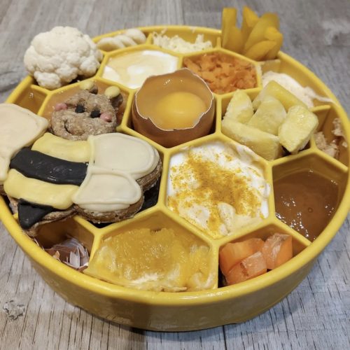 Habzsolásgátló tál  HONEYCOMB - kék , SodaPup