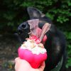 MUFFIN - Jutalomfalattal tölthető, méreganyagmentes játék kutyáknak , SodaPup®