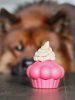 MUFFIN - Jutalomfalattal tölthető, méreganyagmentes játék kutyáknak , SodaPup®