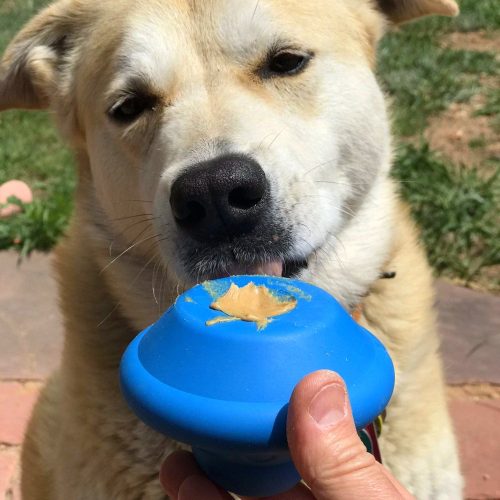 UFÓ - Jutalomfalattal tölthető, méreganyagmentes játék kutyáknak , SodaPup®