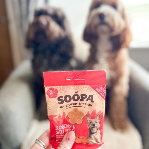 Hipoallergén jutalomfalat - vörösáfonya és édesburgonya , Soopa