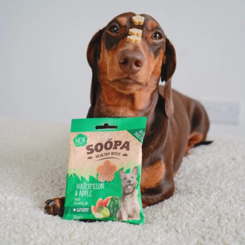 Hipoallergén jutalomfalat - Alma és görögdinnye , Soopa