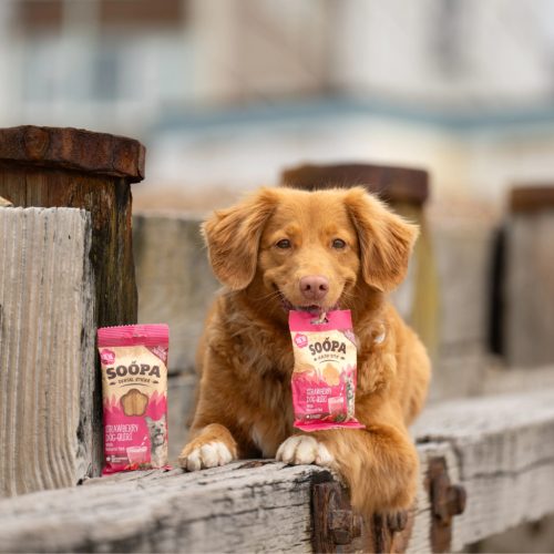 Hipoallergén jutalomfalat - Eper mentával , Soopa