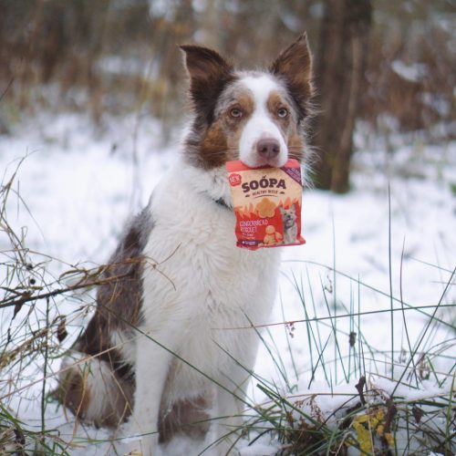 Hipoallergén jutalomfalat - Mézeskalács , Soopa