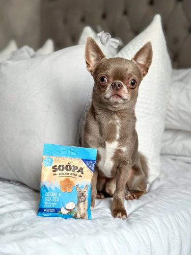 Hipoallergén jutalomfalat - kókusz chiamaggal , Soopa